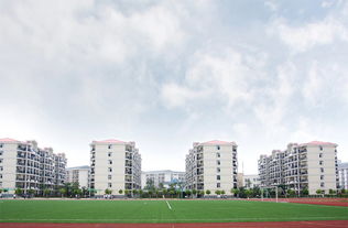 合肥信息技術(shù)職業(yè)學(xué)院圖書(shū)館