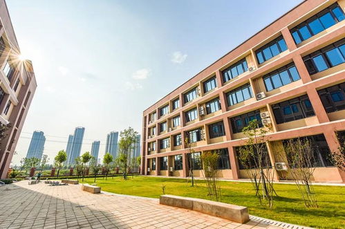 新學期 航空港區(qū)河東安置區(qū)兩所新學校投用