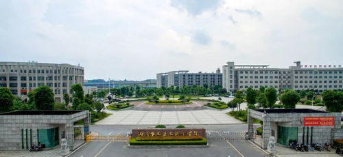 湖南食品藥品職業(yè)學院2020年提前招生進行時