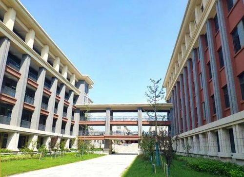 中安華力建設(shè)集團承建懷遠一中淮西校區(qū)ppp項目交付使用