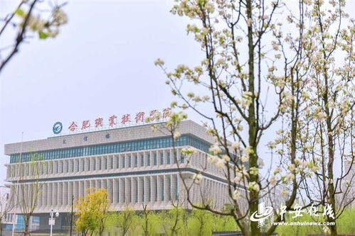 合肥職業(yè)技術(shù)學(xué)院 推行就業(yè)育人新模式服務(wù)地方經(jīng)濟發(fā)展