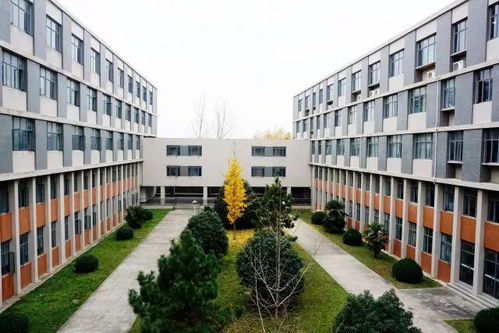 相聚安科,圓夢安科,你的期望就是我的承諾