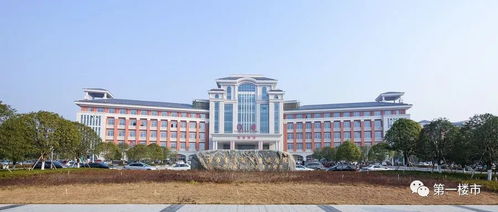 濱湖全面提速 今年新建15所學(xué)校 方興大道東延將今年開建