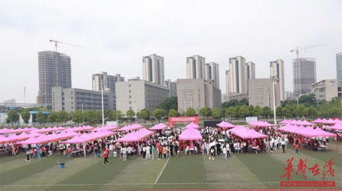 133家優質企業 5000余個專業崗位 湖南食品藥品職業學院讓學生在 家門口 優質就業