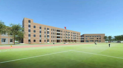 大波亮點 鄉村振興 新建學校 道路 遷醫院 2020年嘉定這些街鎮要干哪些大事