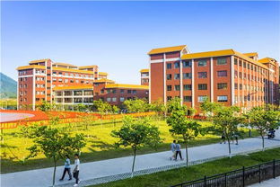 廣州珠江職業技術學院2019年人才引進計劃