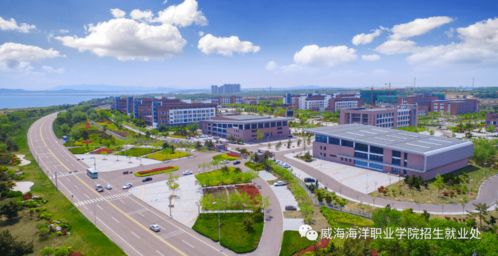 國有公辦全日制普通高等院校 威海海洋職業學院 以夢為馬 不負韶華