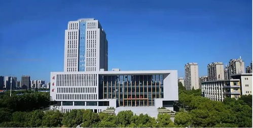 扭扭車 男孩,蕪湖歡迎你