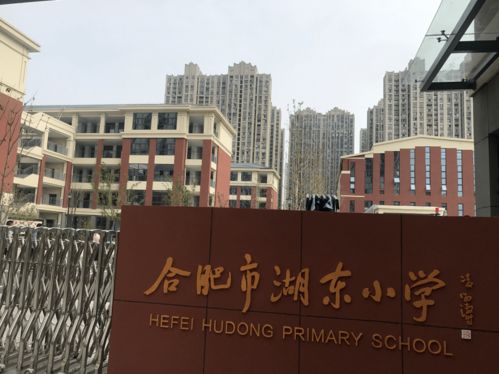 速看 合肥市教育局最新發布 事關開學