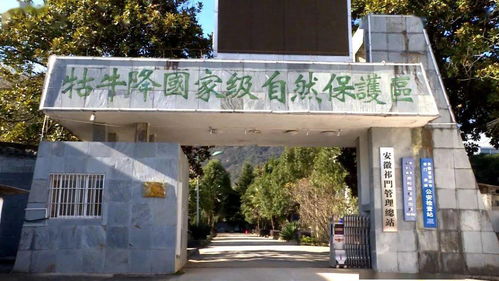 安凌中心學校開展 走出課堂,擁抱自然 生態研學活動