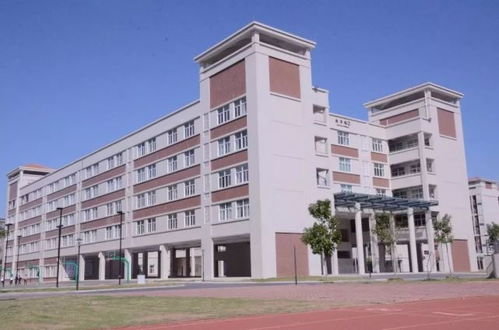 公益教育 因心疼孩子,河南一家長自費百萬在校門口修建天橋