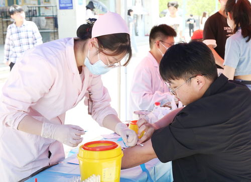 合肥信息技術(shù)職業(yè)學(xué)院就業(yè)指導(dǎo)中心