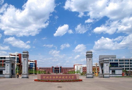 教育部拍板,河北新增1所公辦本科大學(xué),校名卻讓本地人很不滿