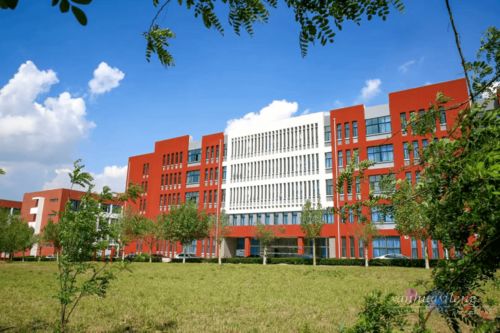 美翻 快來(lái)領(lǐng)取屬于你的新年色彩和幸運(yùn)簽