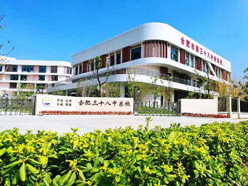 考德上2020年合肥市瑤海區招聘中小學教師資格復審遞補公告