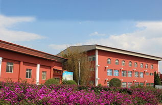 云南新興職業學院 2019年 就業