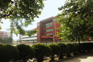 熱烈慶祝石家莊經濟職業學院2013屆護理專業護士資格證過線率高達97