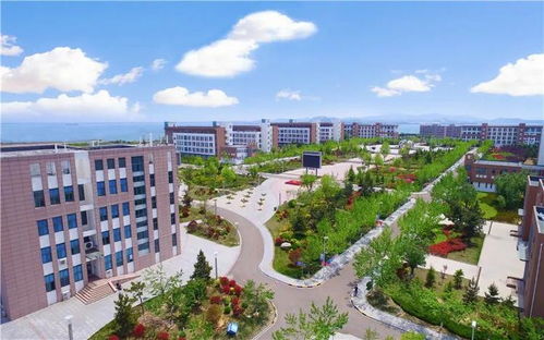 歡迎來到威海上大學(xué)職業(yè)學(xué)校 成就未來的理想起點(diǎn)